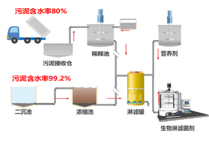 维多利亚老品牌vic(集团)官方网站